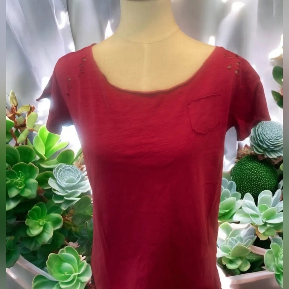#1475 A Rare Bird Ripped Tattered Tee (Cranberry)